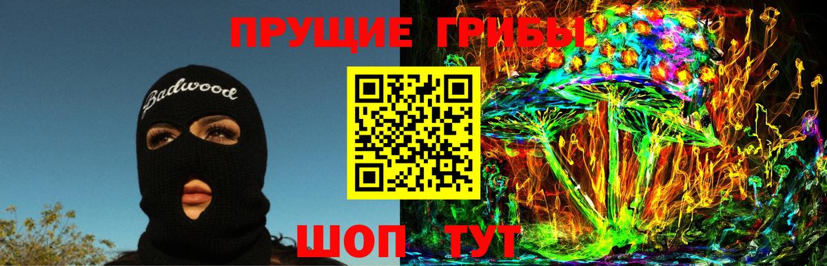 Владикавказ  Псилоцибиновые грибы GOLDEN TEACHER  Галлюциногенные грибы MAGIC MUSHROOMS  что такое наркотик  Вход с VPN 