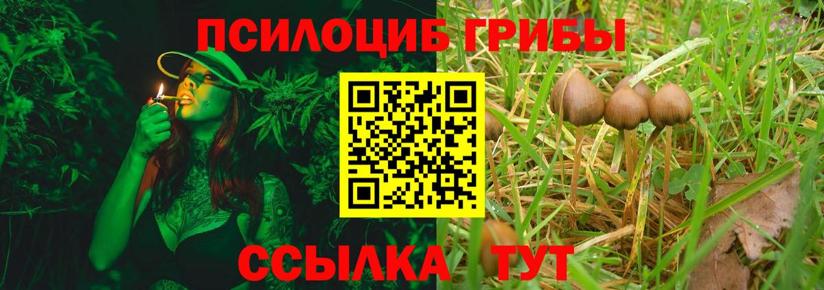 Псилоцибиновые грибы MAGIC MUSHROOMS Владикавказ